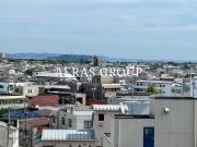 コージーコート