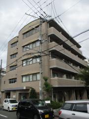 CORRECT FORET住道