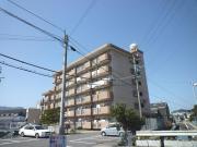 溝川ハイツ