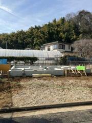 ロイス・ルーエ