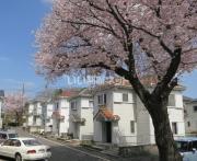 原宅貸家 1号棟