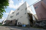ホワイトロータス