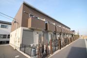 FORSIGHT OZONO II