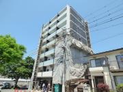 ミリアビタNo33