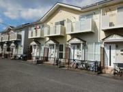 グラシアイマイ