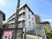 シャトレ所沢