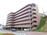 ルピナス日野壱番館
