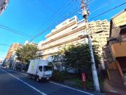 アドニス島田