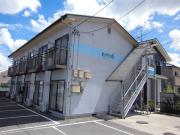 ビオラ6