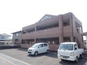 ファイングレース