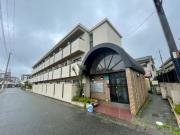 ドムール若山