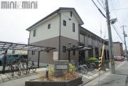 Court yard 高木