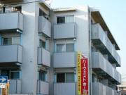 ライブウエスト甲子園