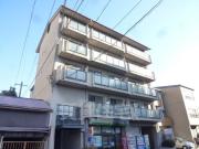 樹庭夢