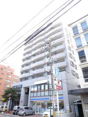 ライオンズマンション盛岡内丸