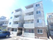 PLAZA N19E