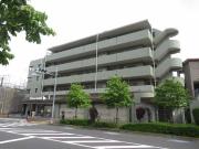 都営大江戸線光が丘駅まで徒歩11分