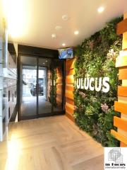 ULUCUS