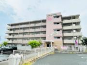佐賀県三養基郡みやき町大字市武