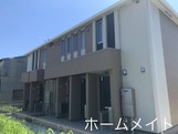 コンフォートオリーブ