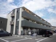 レクエルド藤