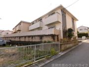 緑樹III