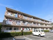 ベルハイム木の宮
