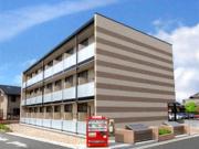 レオパレスパタータ