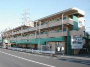 オリーブガーデン