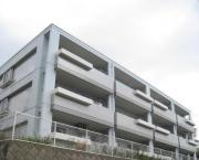 東急東横線菊名駅まで徒歩10分
