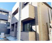 Lycoris西小山