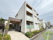 Y′s COURT