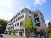 近鉄生駒線菜畑駅まで徒歩12分