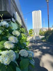 Brillia Tower 前橋