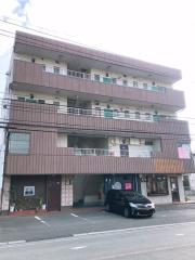 calme光の森