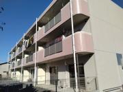 Shez Moi 川中子