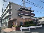 アムール綱島