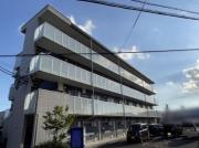 レオネクストOASIS花中