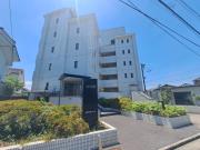 ベルハイム38