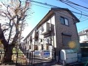 Merry和泉