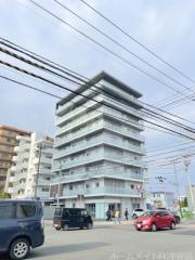 Alpha PH 南平岸