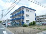 松下細島ライフ