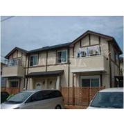 コージーパレス