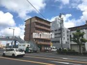 NEW PLACE