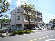 カトレアパレスイン