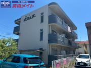 マンションほうれん草