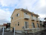 テラスハウス腹福