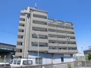 GranPino柴原