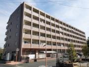 オリーブ コート塚田