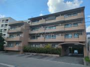 石照マンション花池
